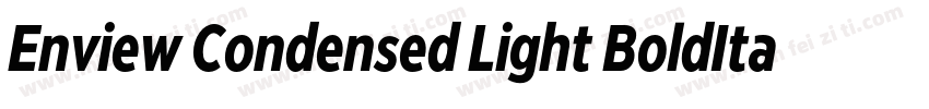 Enview Condensed Light BoldItalic字体转换